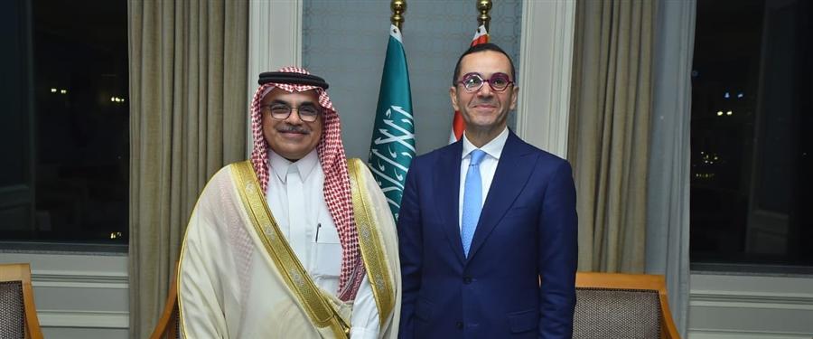 Egypt, Saudi Arabia discuss doubling bilateral trade

